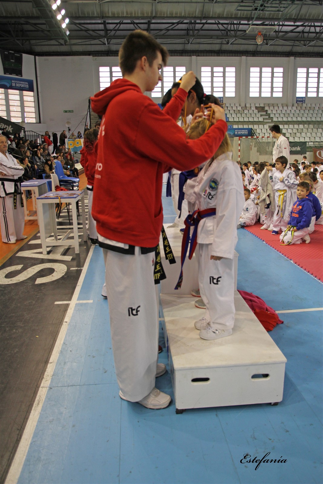 Taekwondo (263).jpg
